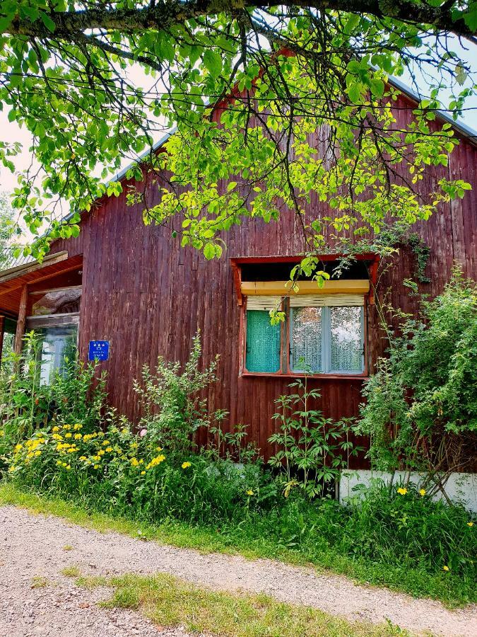 Draga Koncar Guest House Vrelo Korenicko Bagian luar foto
