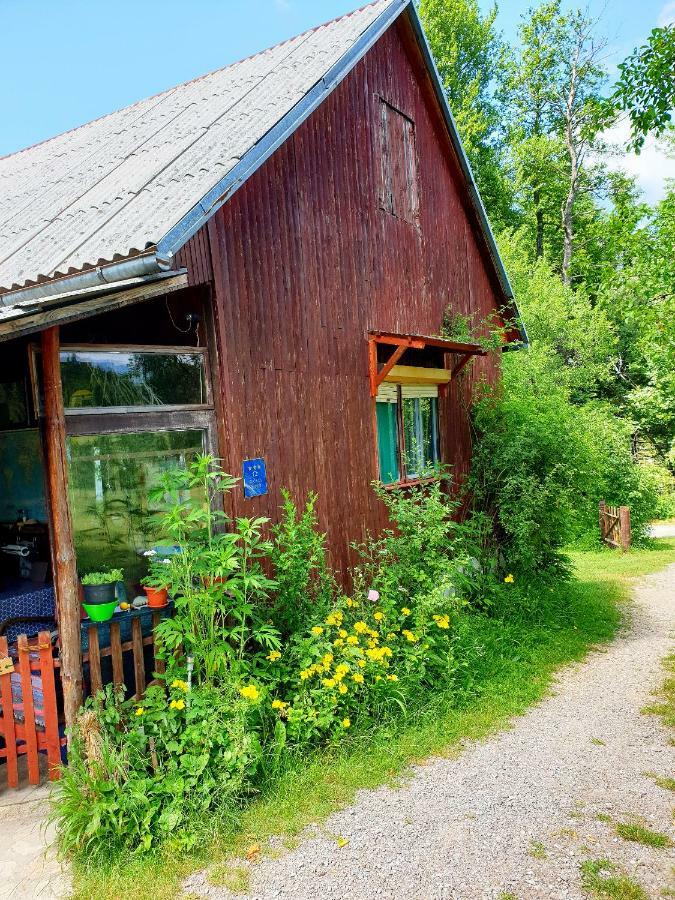 Draga Koncar Guest House Vrelo Korenicko Bagian luar foto
