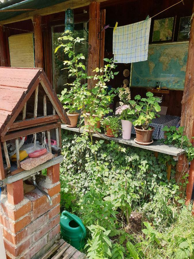 Draga Koncar Guest House Vrelo Korenicko Bagian luar foto