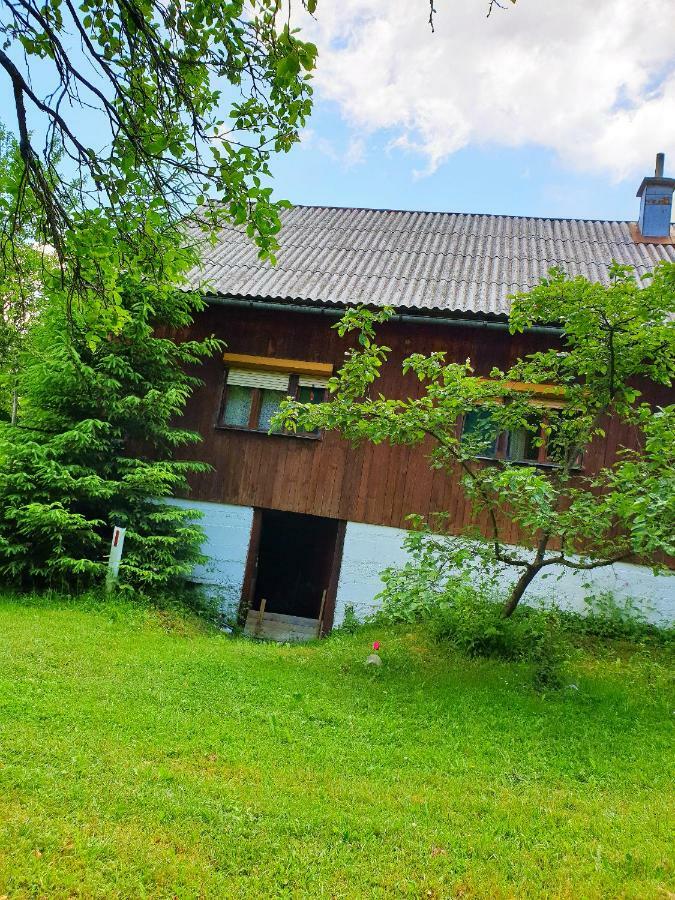 Draga Koncar Guest House Vrelo Korenicko Bagian luar foto